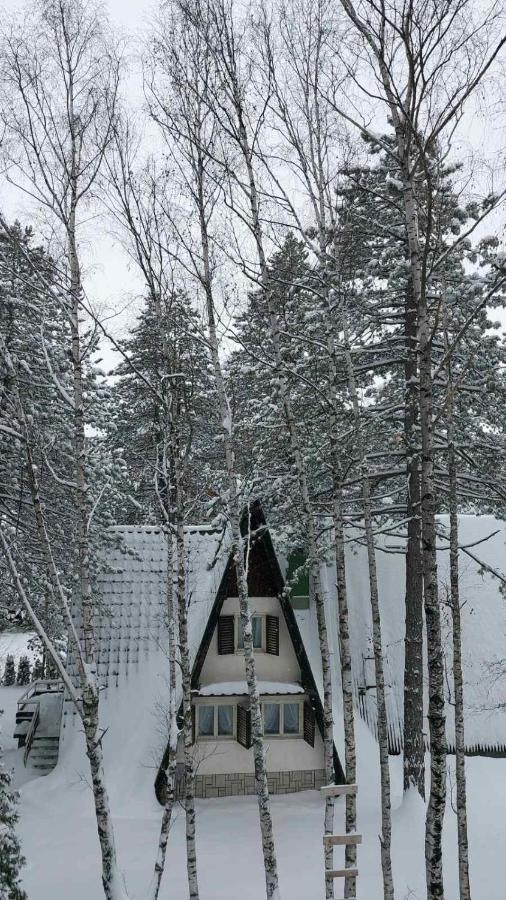 Zlatibor Apartman Asteri Apartman Kültér fotó